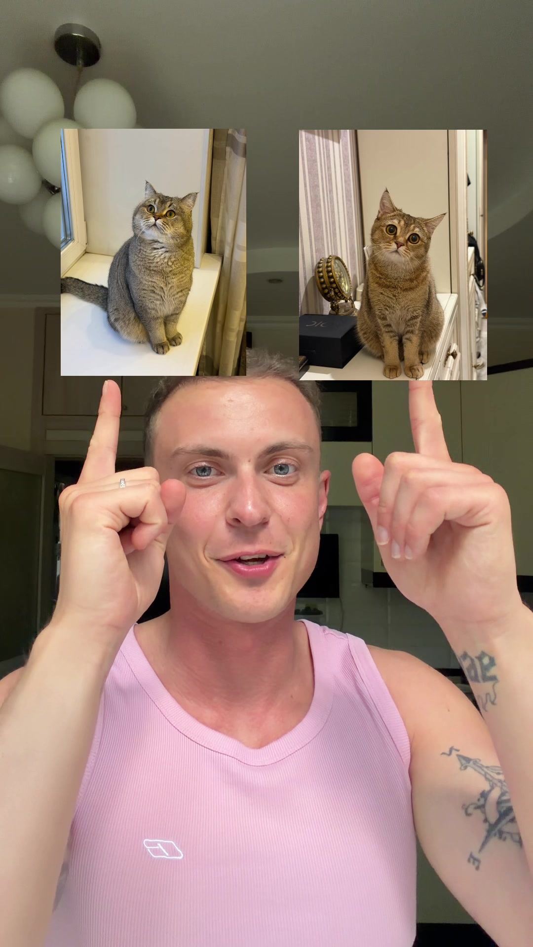 @котопапа