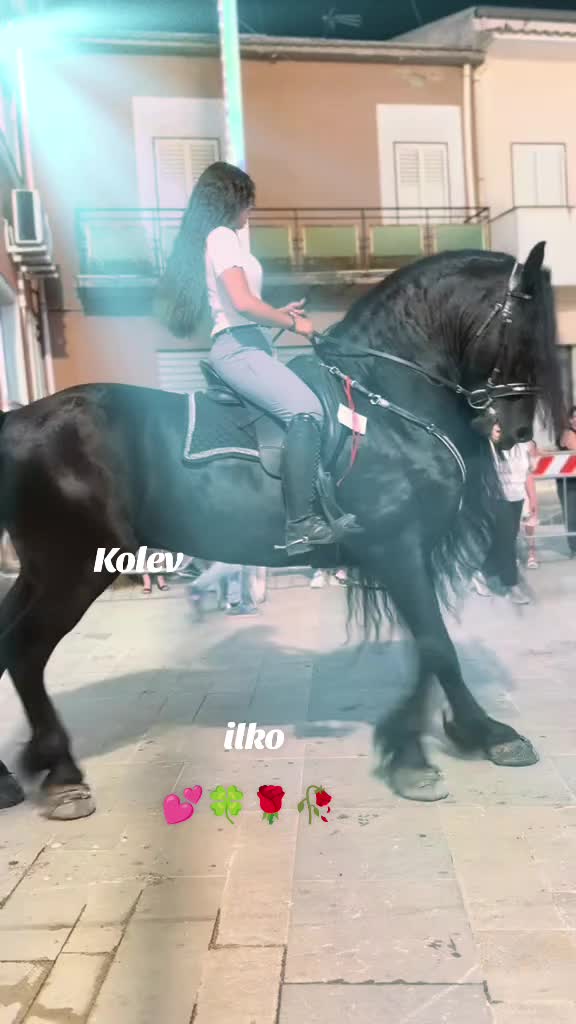@ilkokolev401
