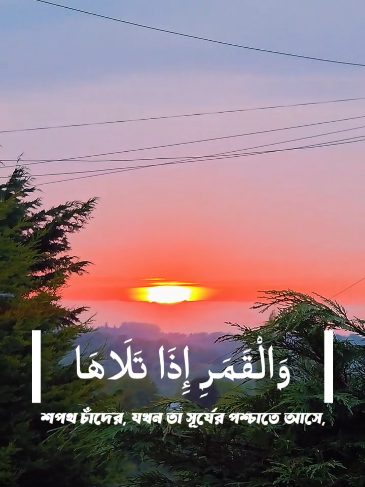 @MD SHOFIQUL ISLAM KHAN