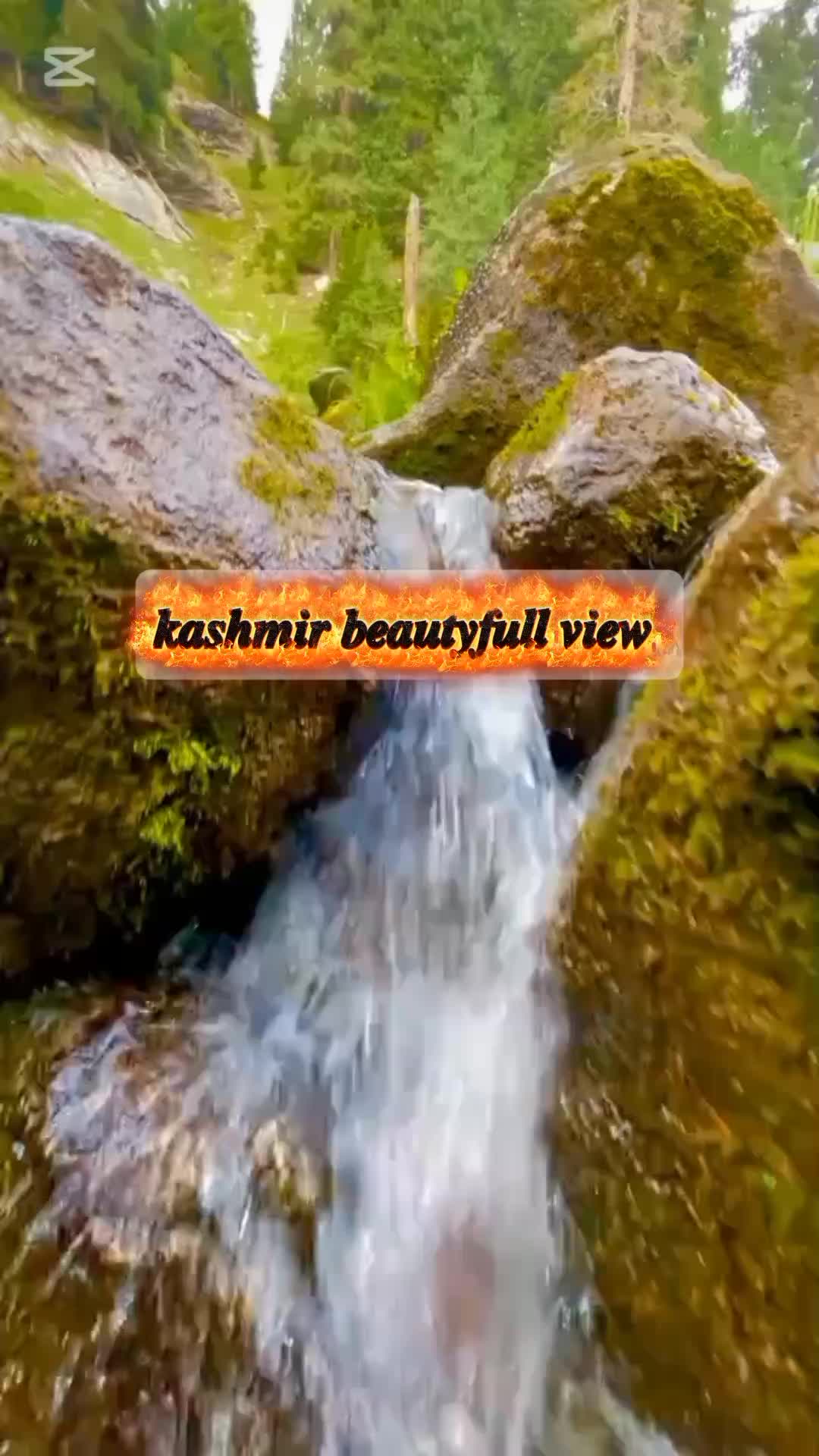@🍁ayeza kashmiri🍁