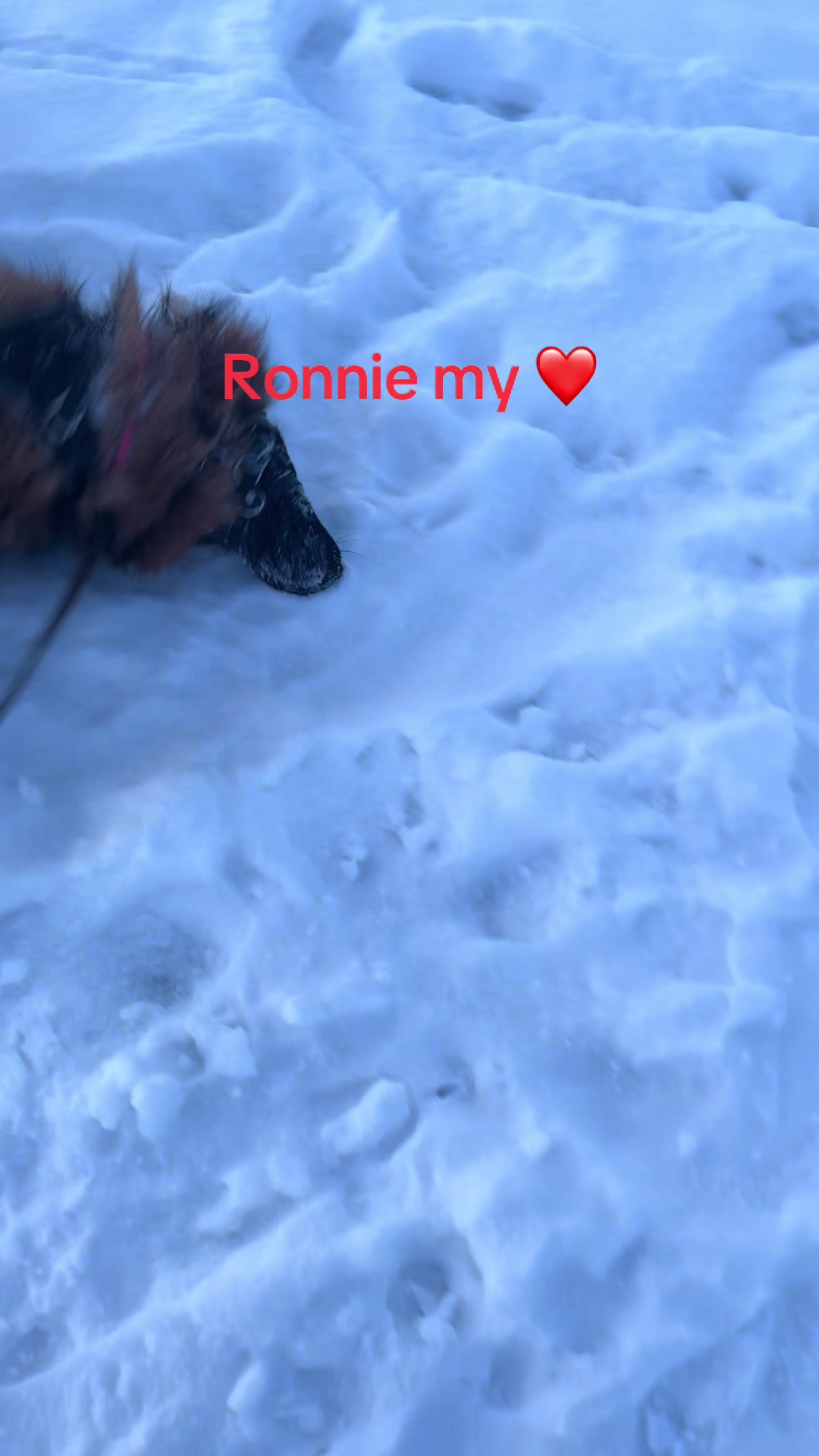 @Ronnie