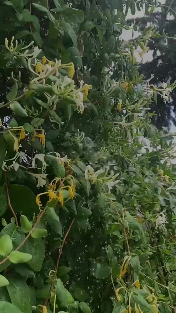 @قرآن كريم