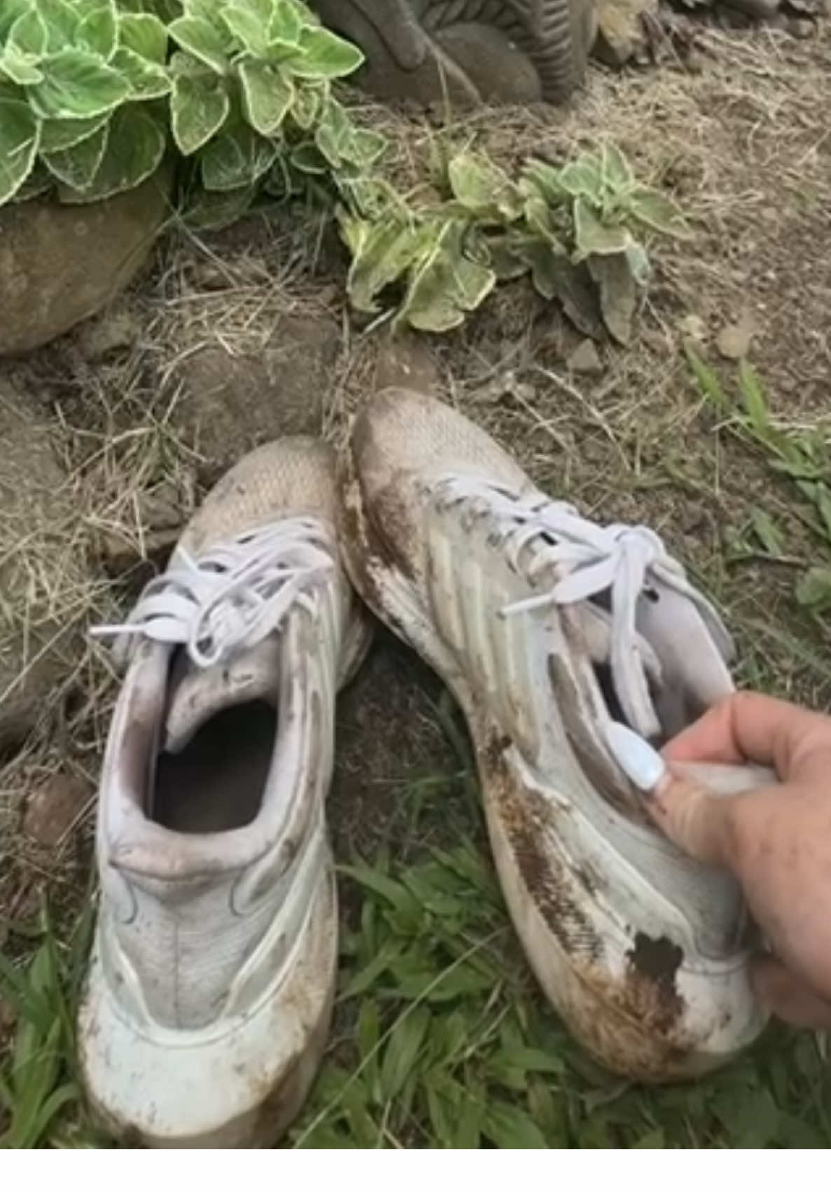 @Mauruuru___