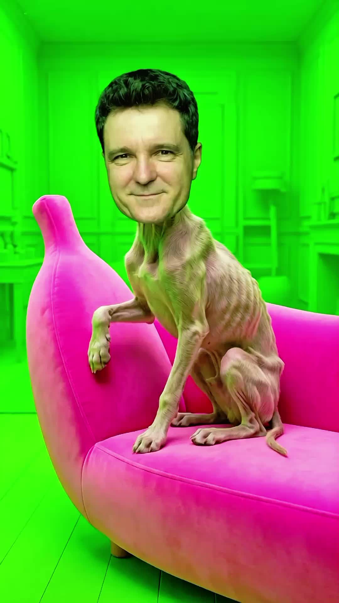@🇫 🇱 🇴 🇷 🇮 🇳