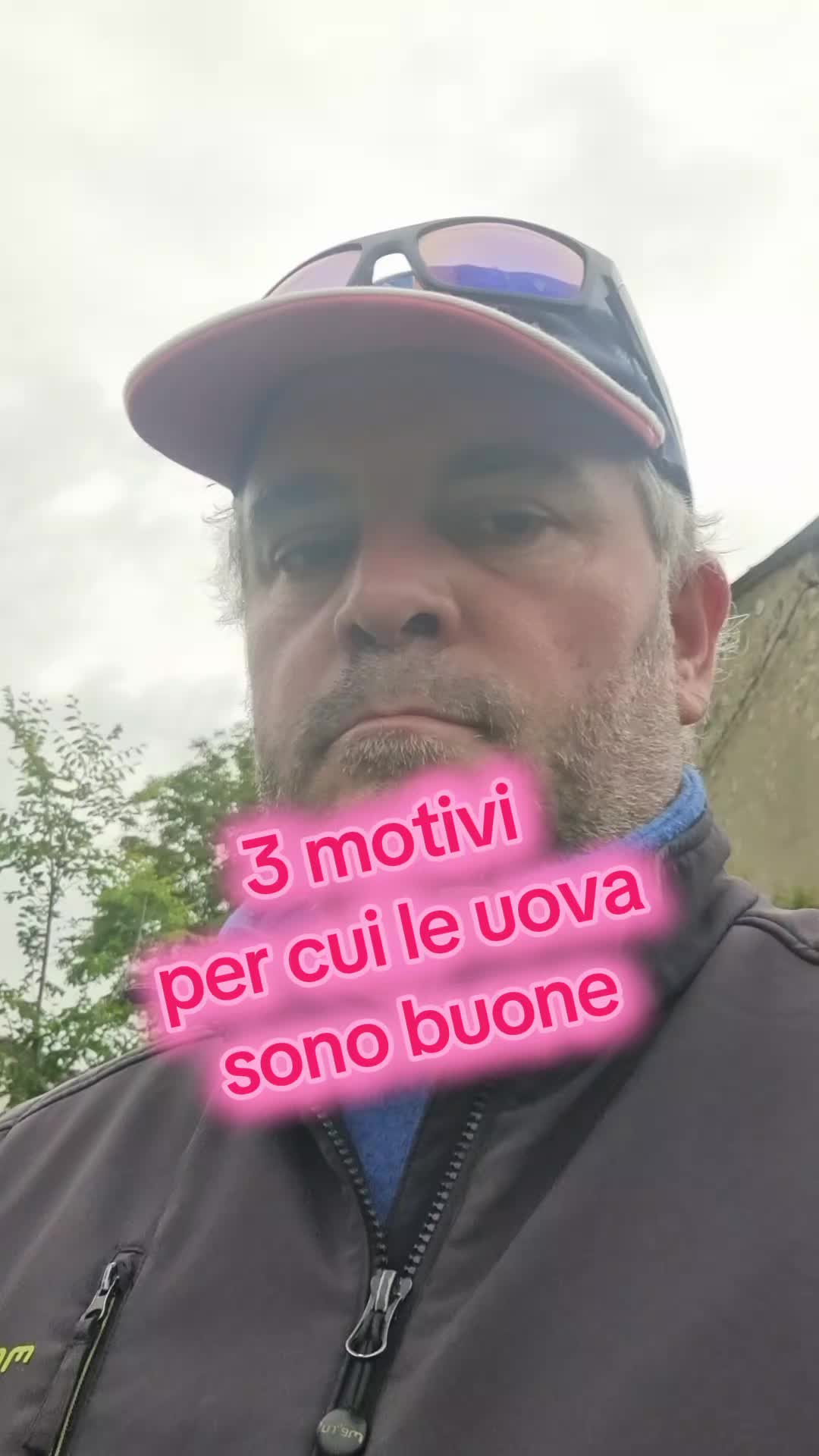 @Il leone e la gallina