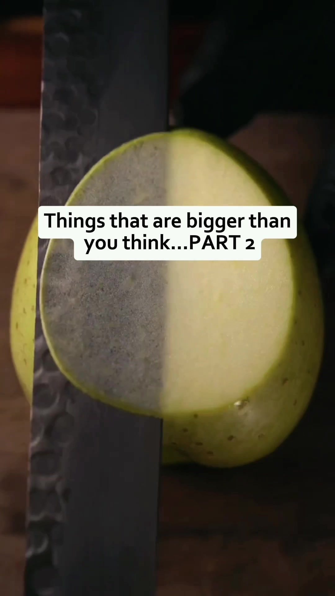 @WaitWhatVibes