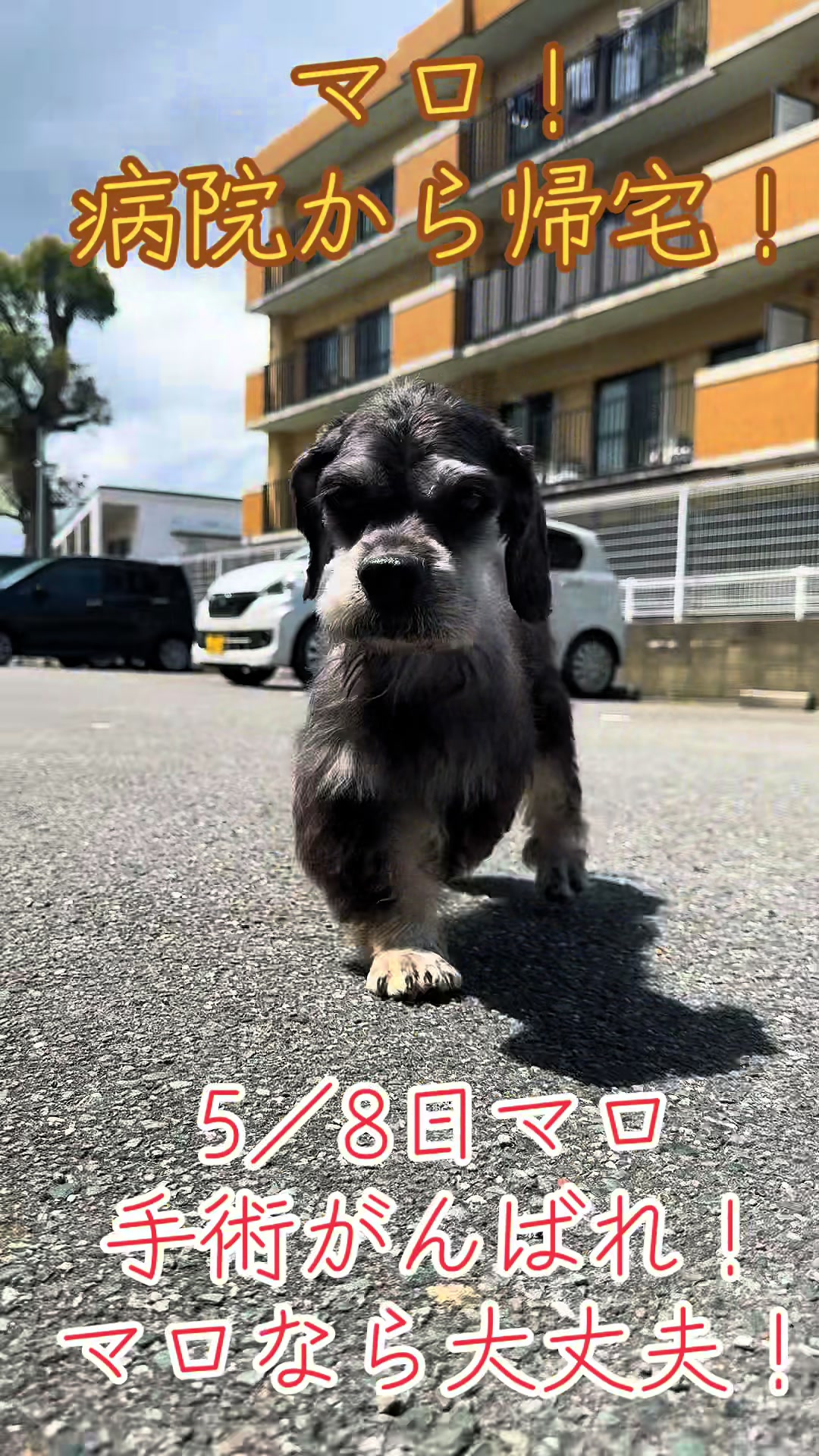 @オクラ