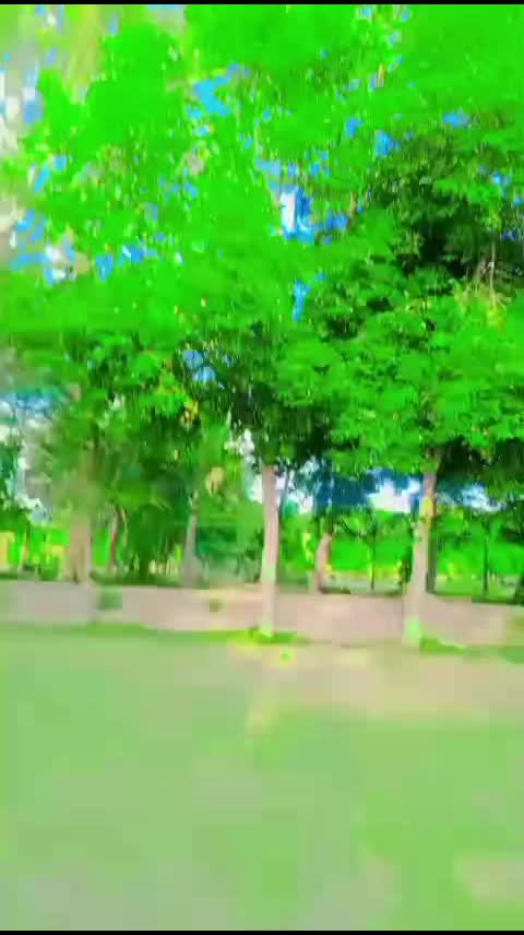 @Bashrat Bhatti 752