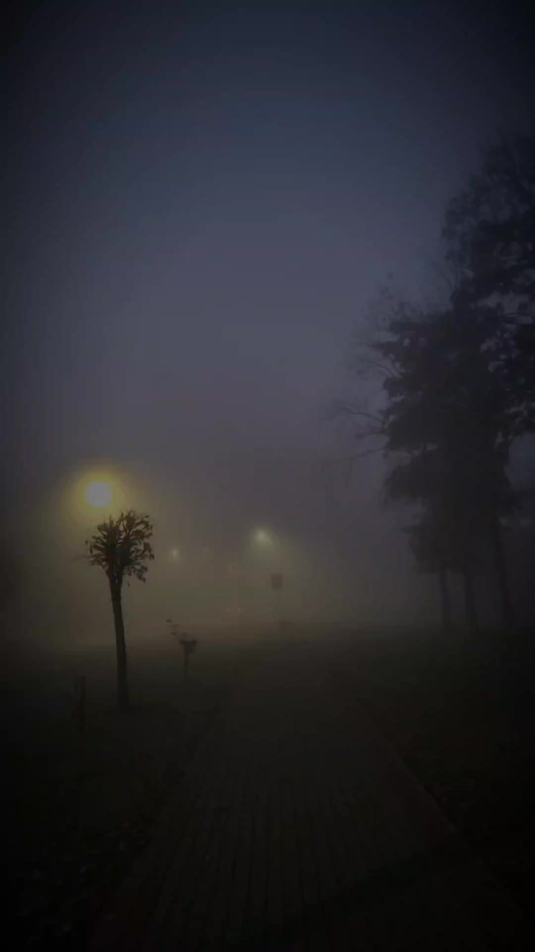@_t_a_t_j_a_n_a_