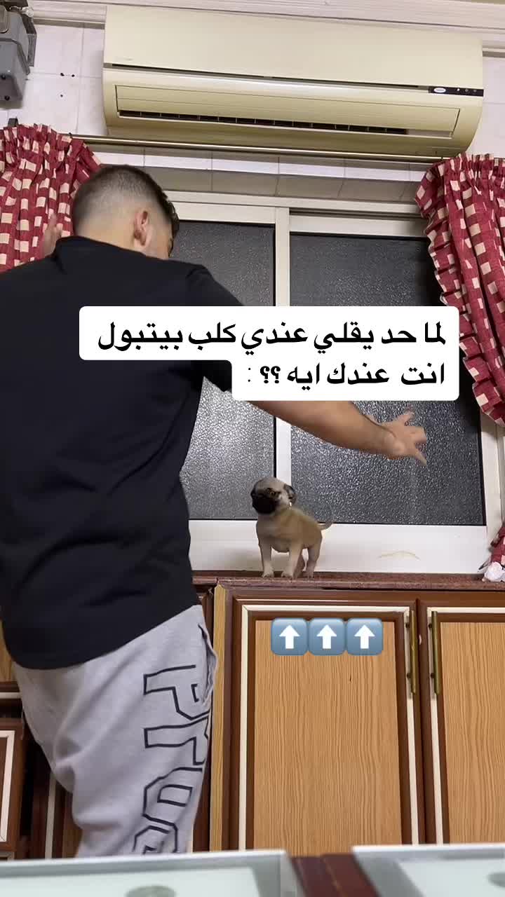 @FARIS & Wiskey ๐พ