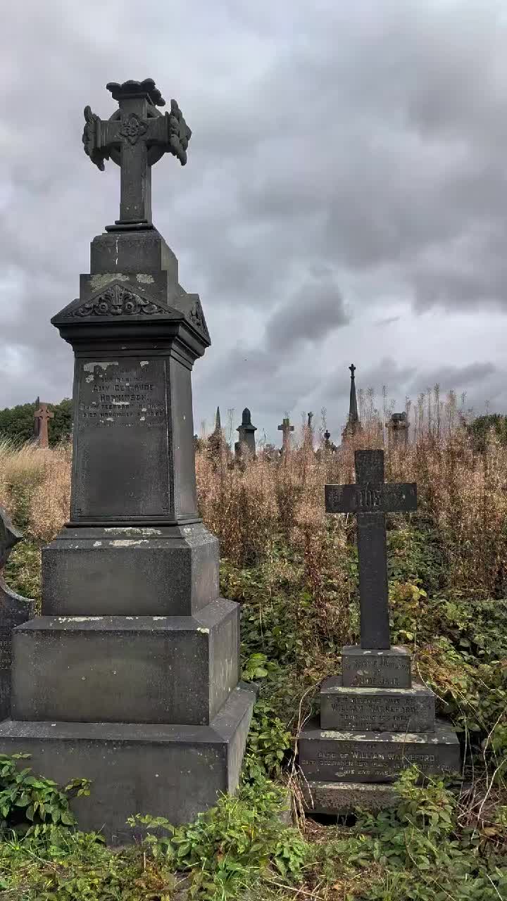 @GraveSnape🪦