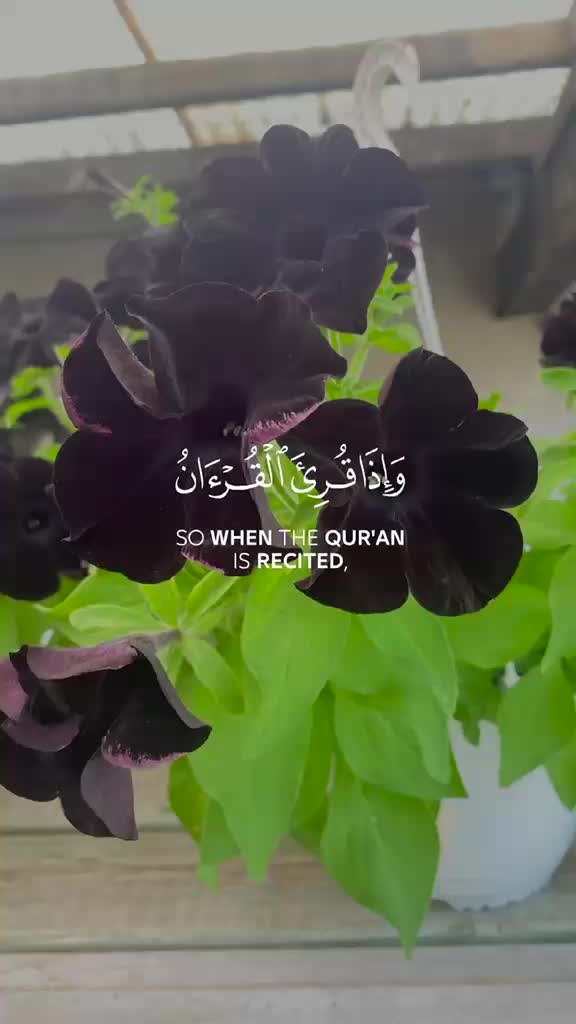 @قرآن كريم