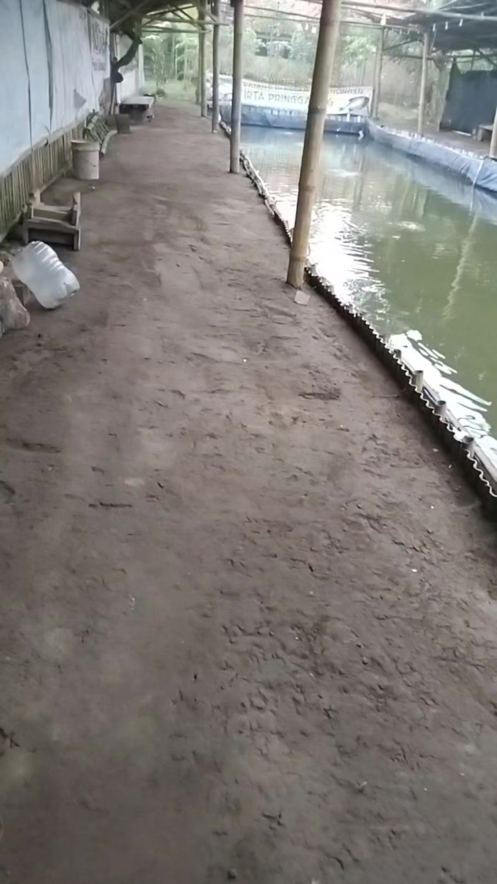 @thochip_09