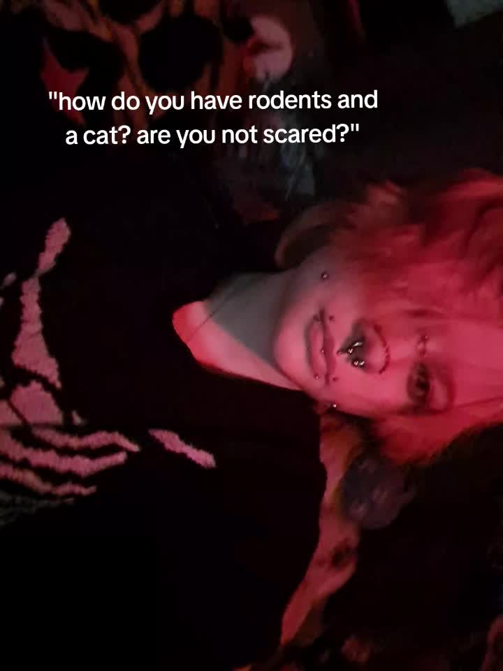 @🦷