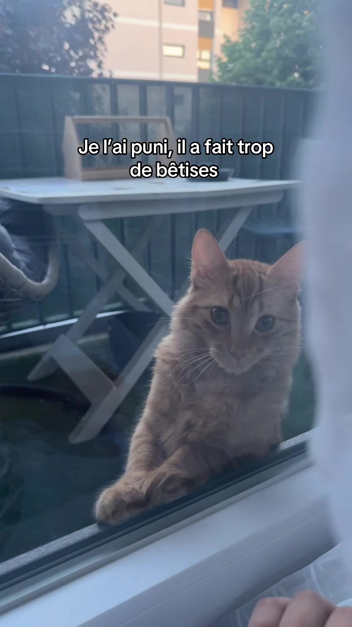 @TAL’RIDER