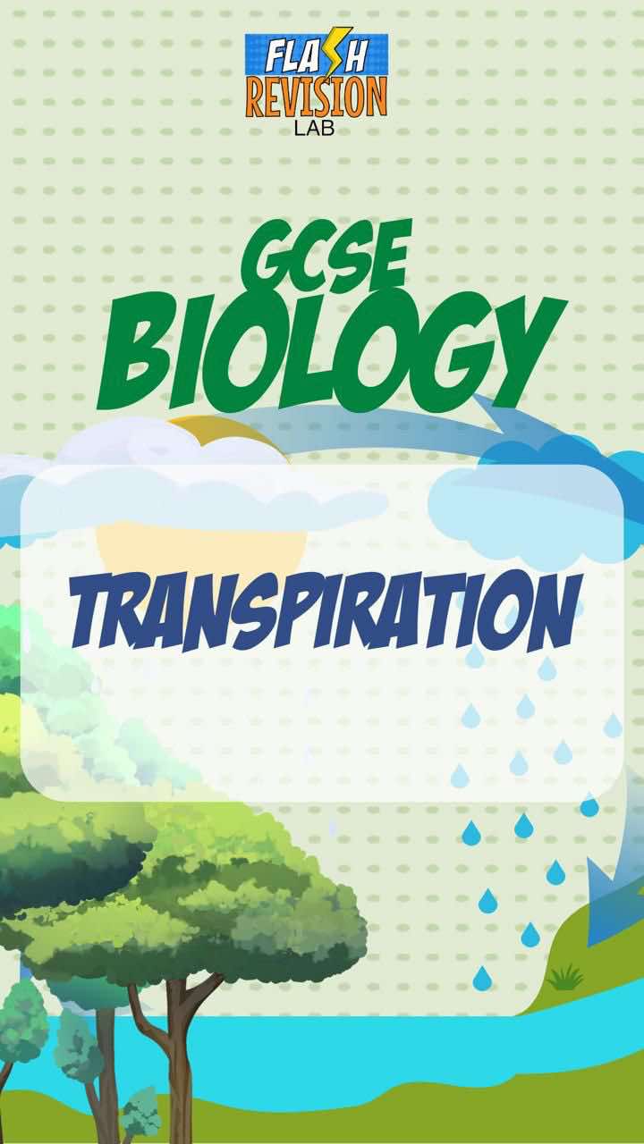 @FlashRevisionLab