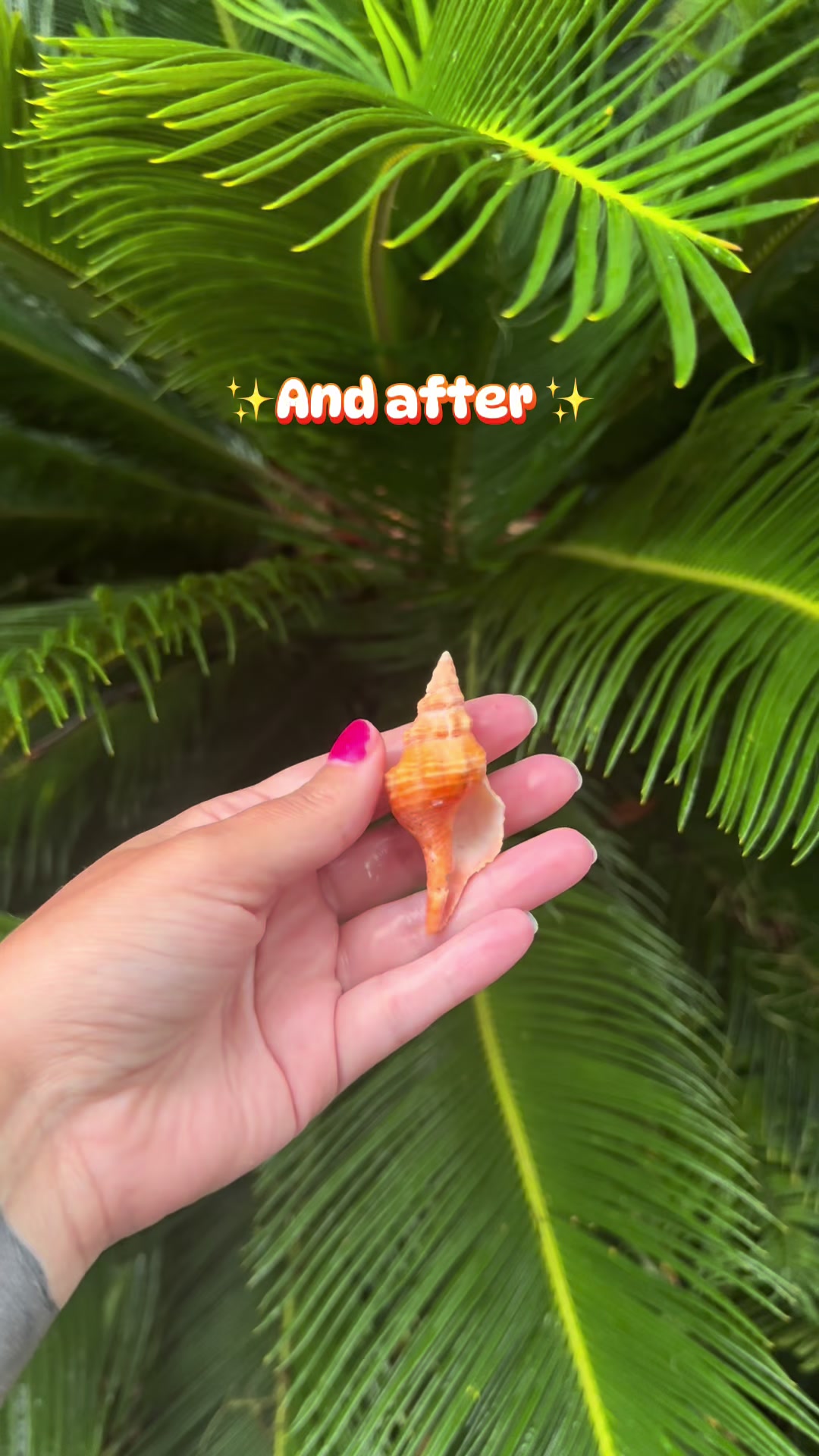 @Ashley Shields🌺🐚