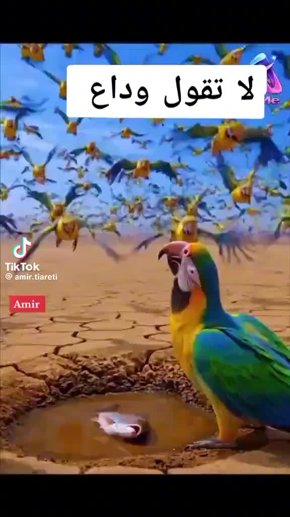 @🇬🇧 ALI boutaina 👑👑👑🌹🌹