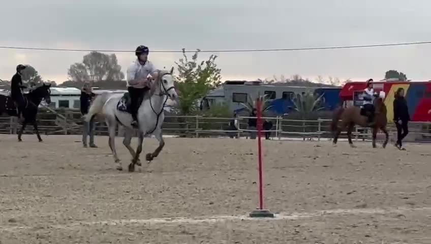 @Steppy.mg