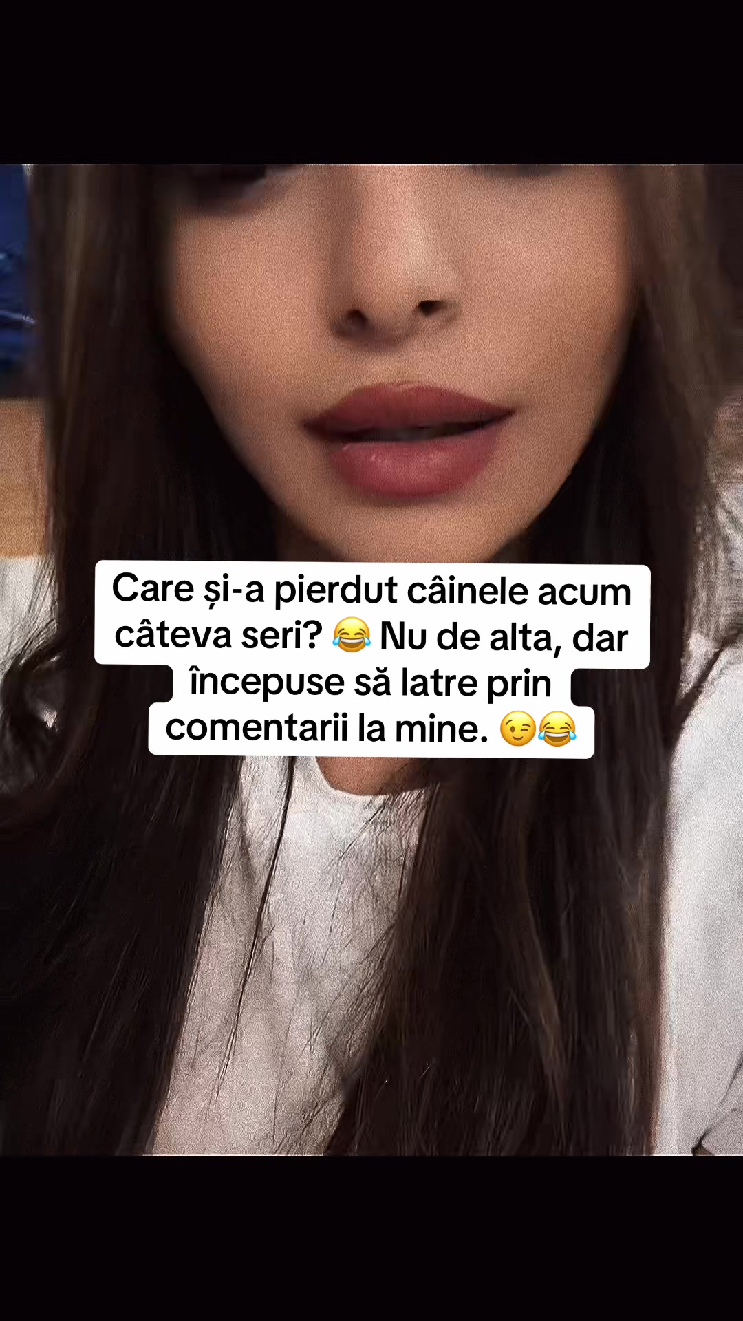 @newme2026.3