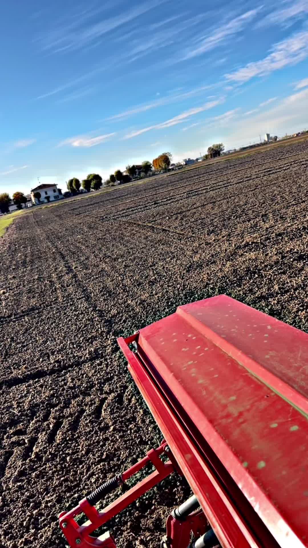 @Mirko Farmer