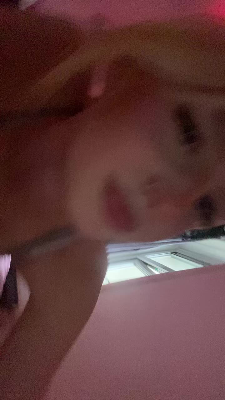 @Lexi🩶🦇