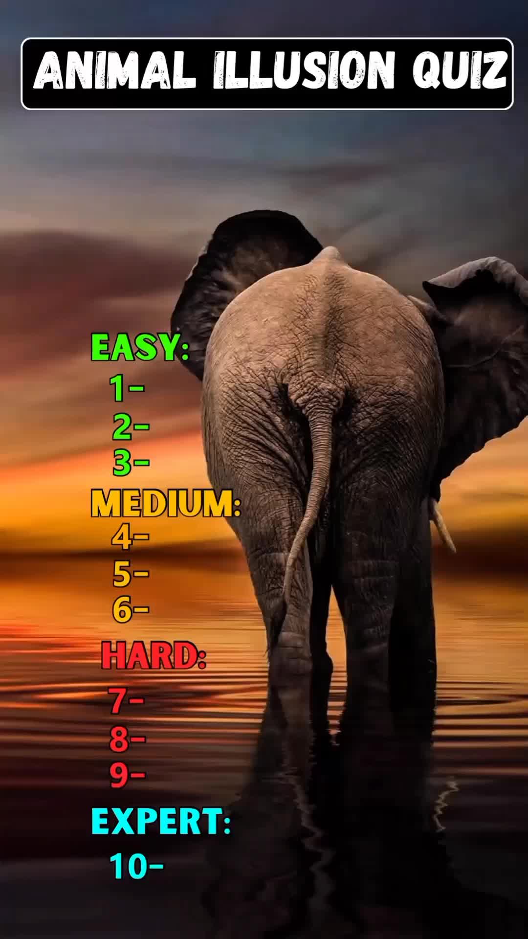 @worldtips
