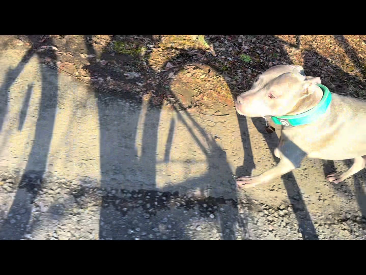 @Doozer_Sprocket_&_Fraggle