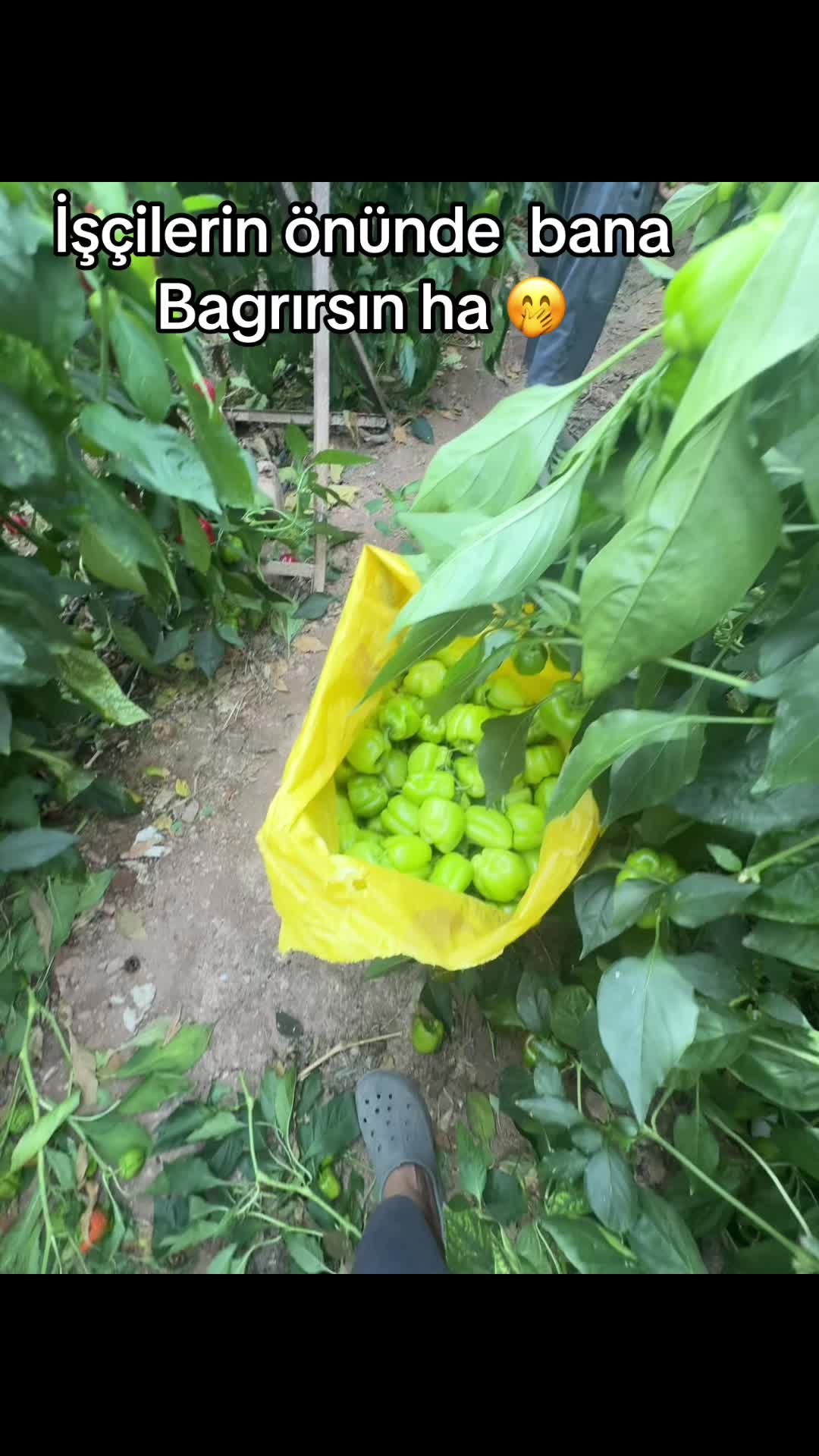 @ð©ðšðð_ðððððððª