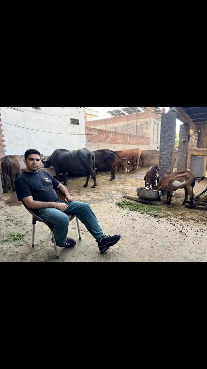 @Muhammad Haseeb ARAIN