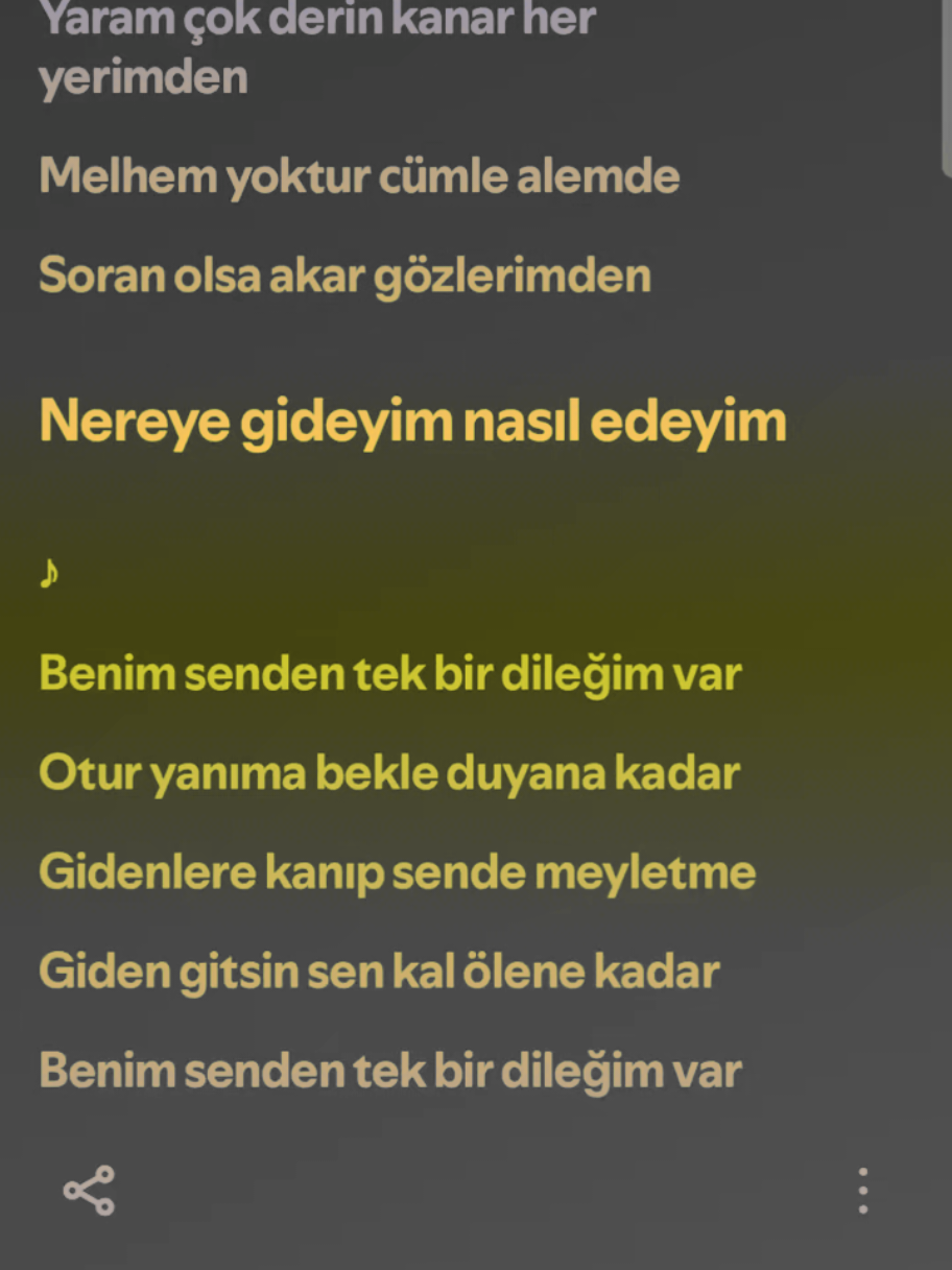 @şarkılar ve sozler