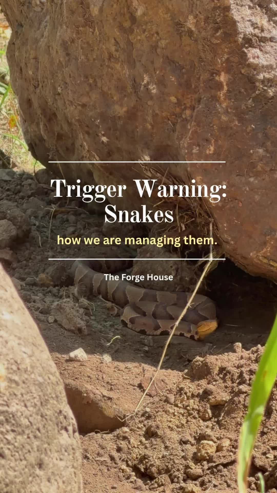 @Tyler Bouldin: The Forge House