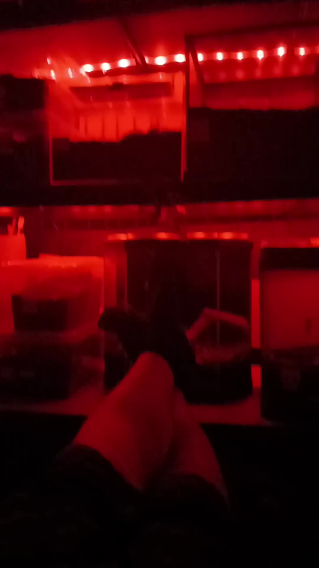 @craigscritterworld1