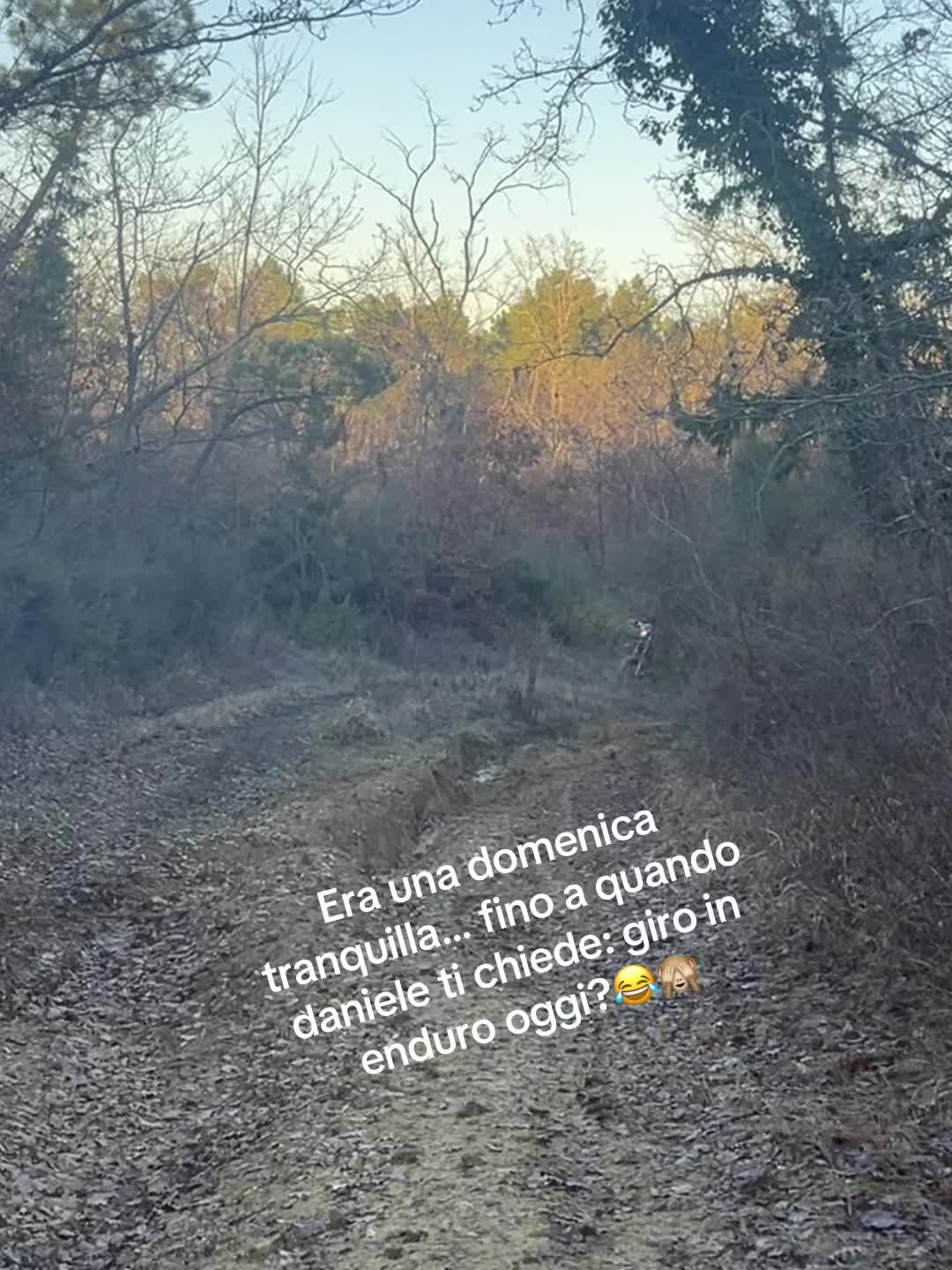 @piersi