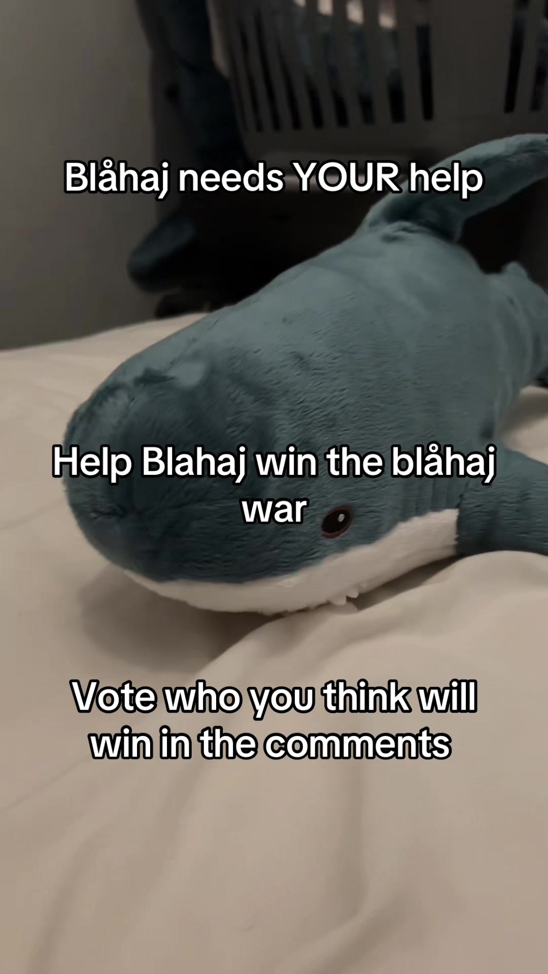 @Blahaj
