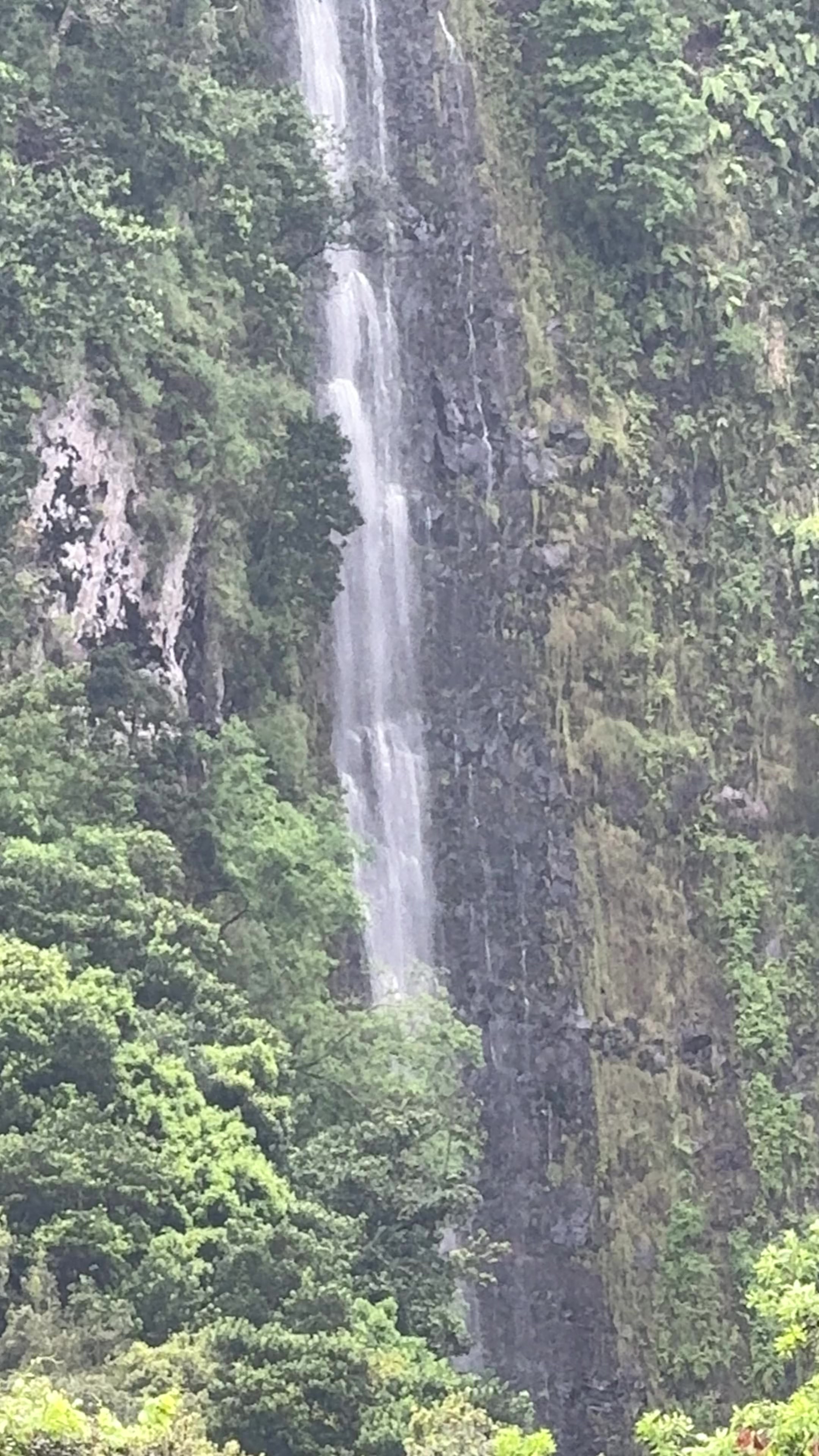 @ImpactAzul Madeira Island Tour