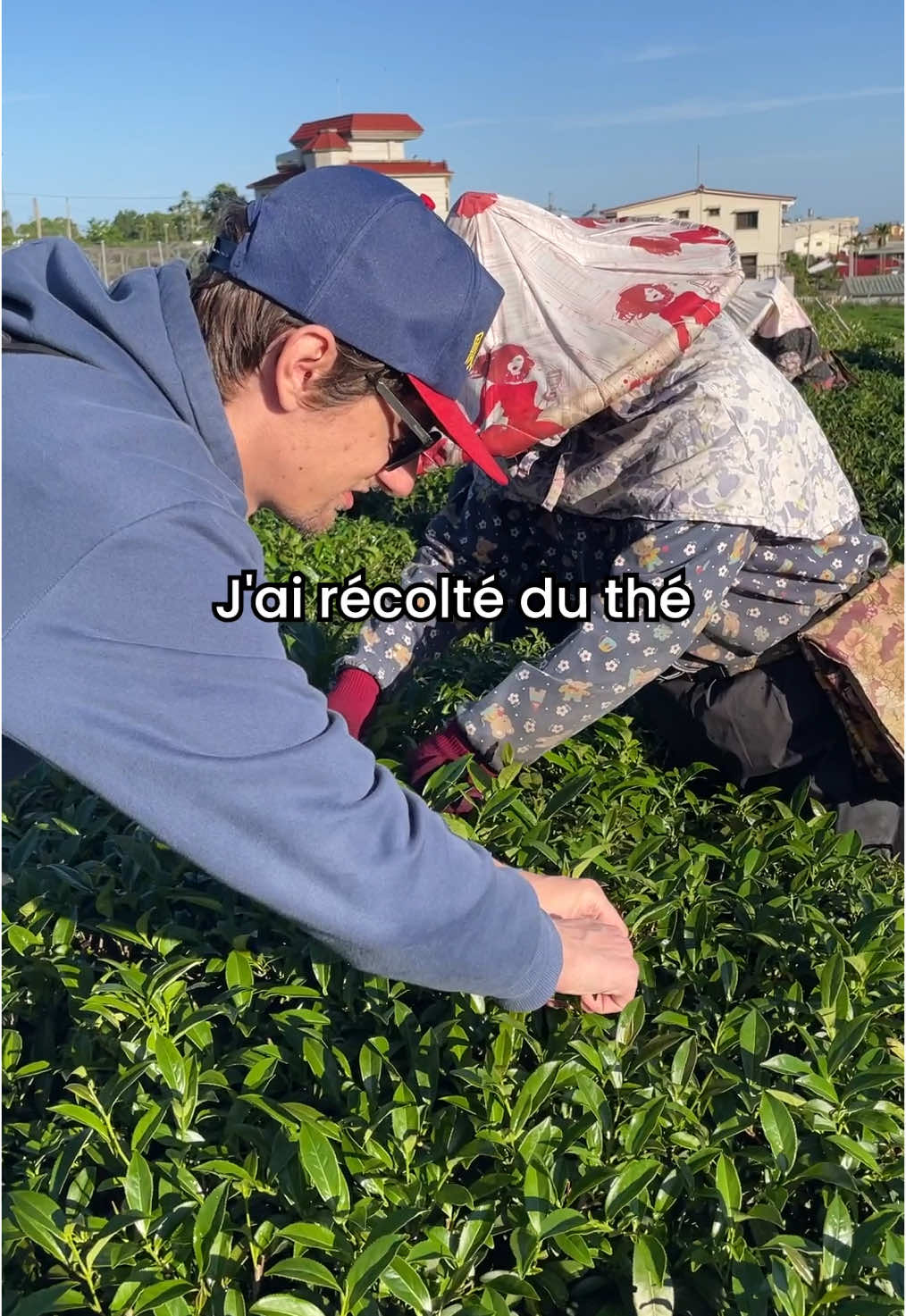 @Le Go&ucirc;t des Racines