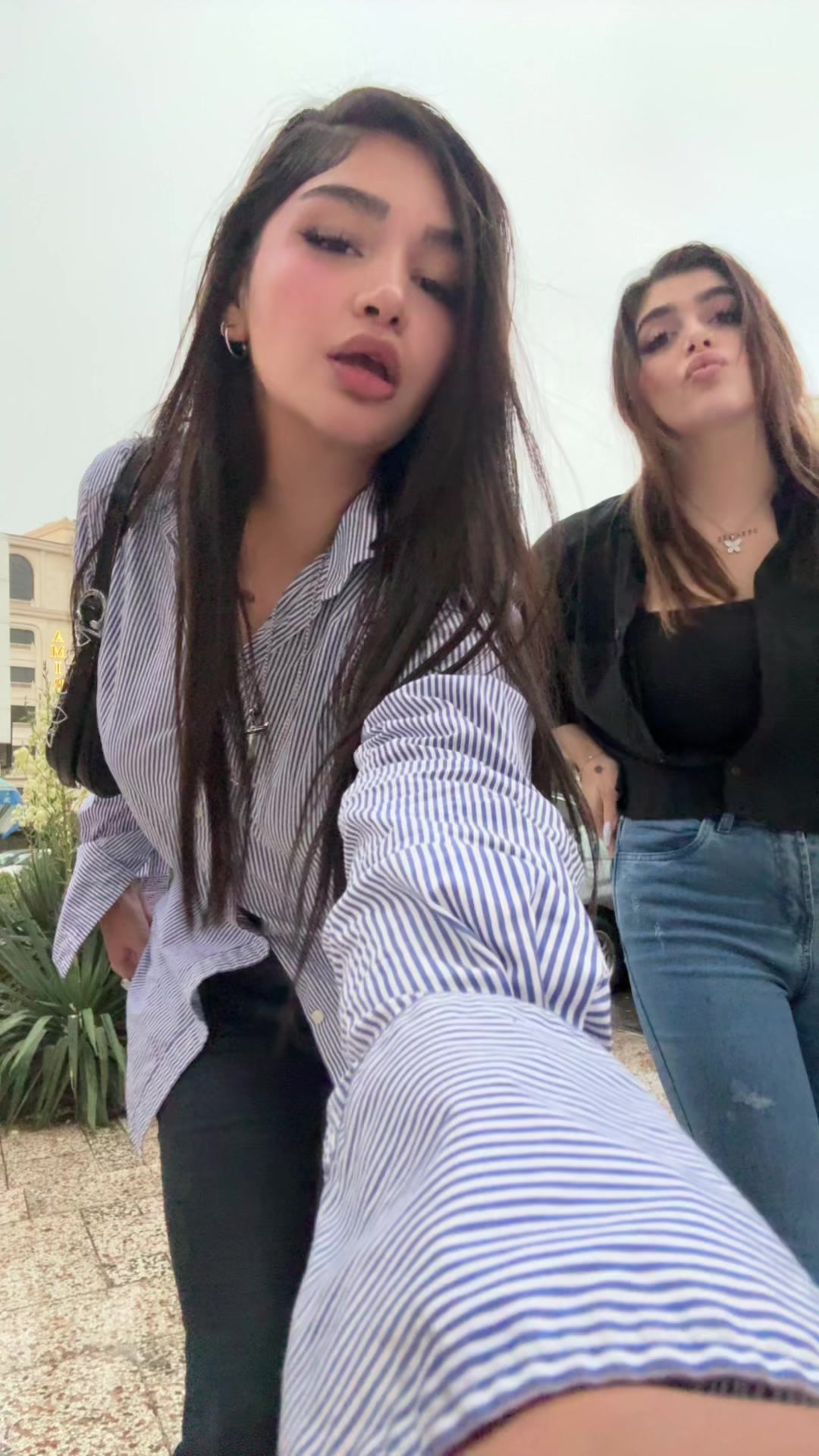 @negin