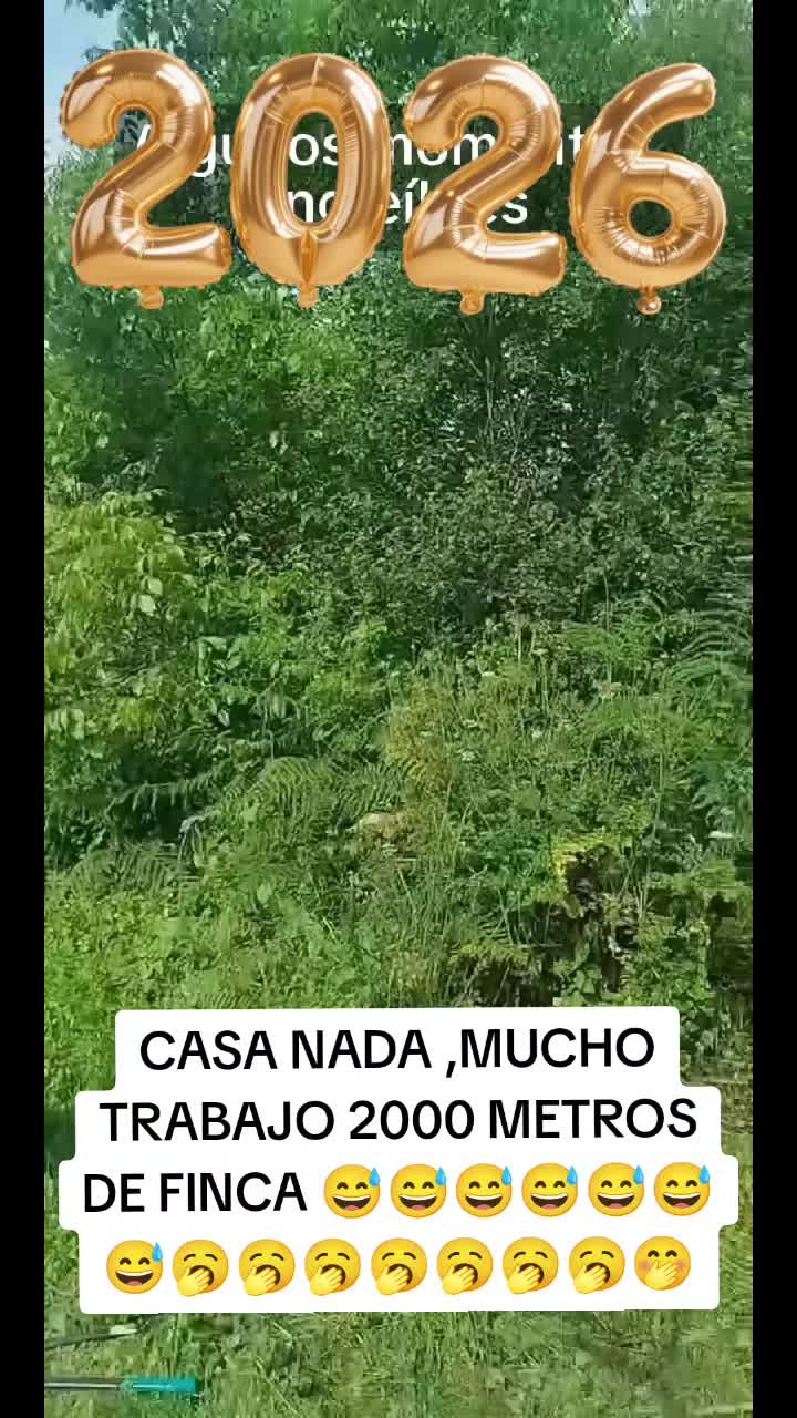 @SINAI GIM&Eacute;NEZ OFICIAL