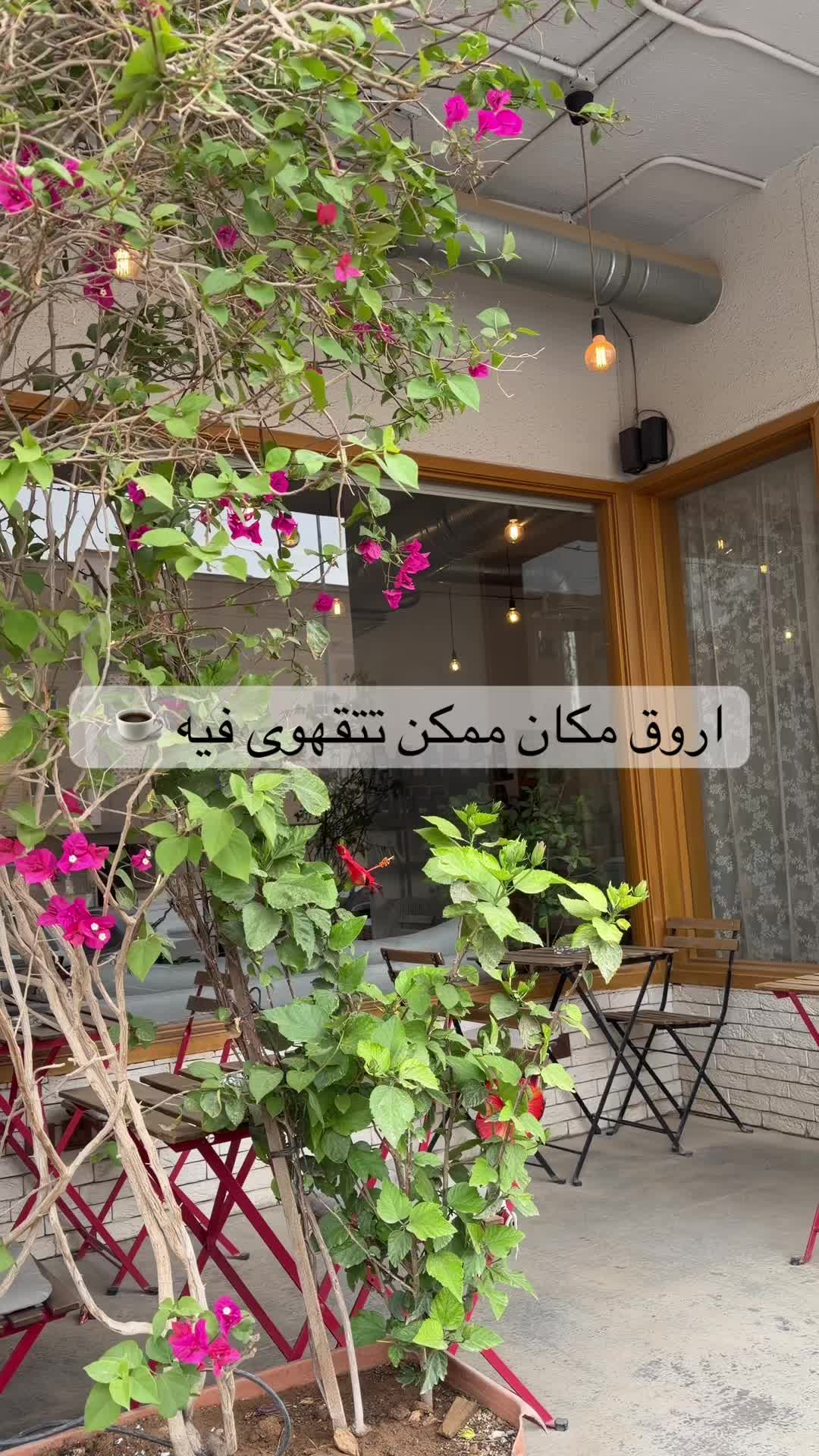 @Aleen✨