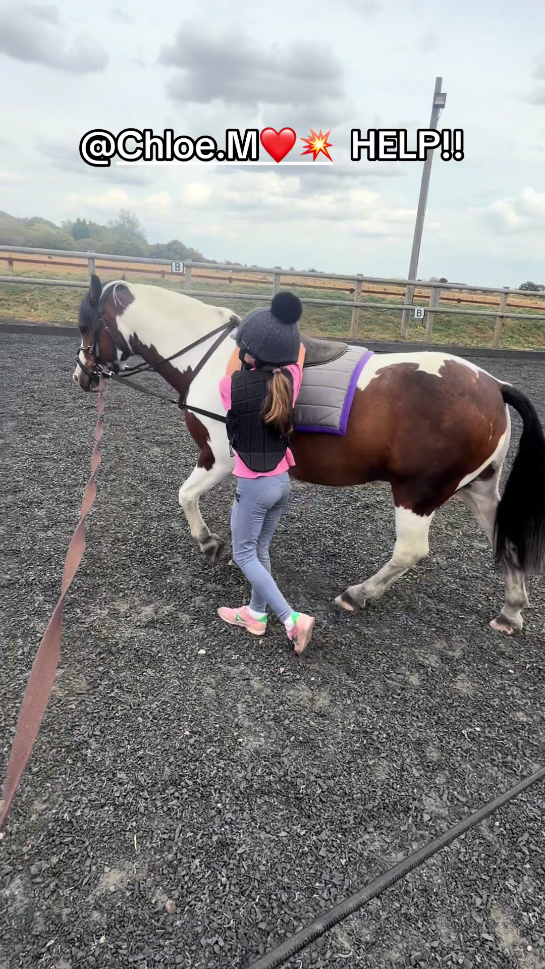 @Nina’s Pony Adventures ❤️