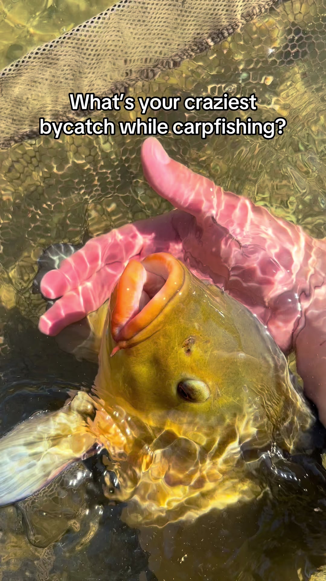 @Jannick Fishing