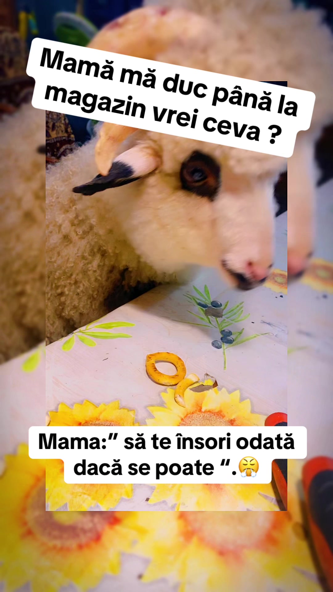 @Onoriu-Jr