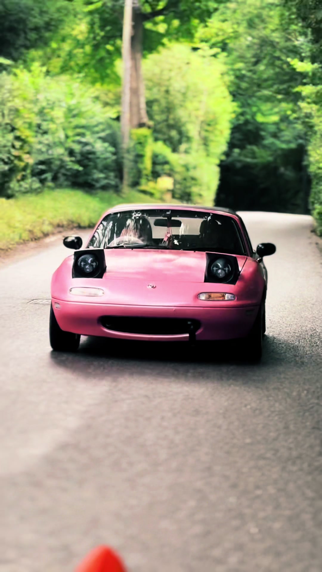 @jellybeanmx5