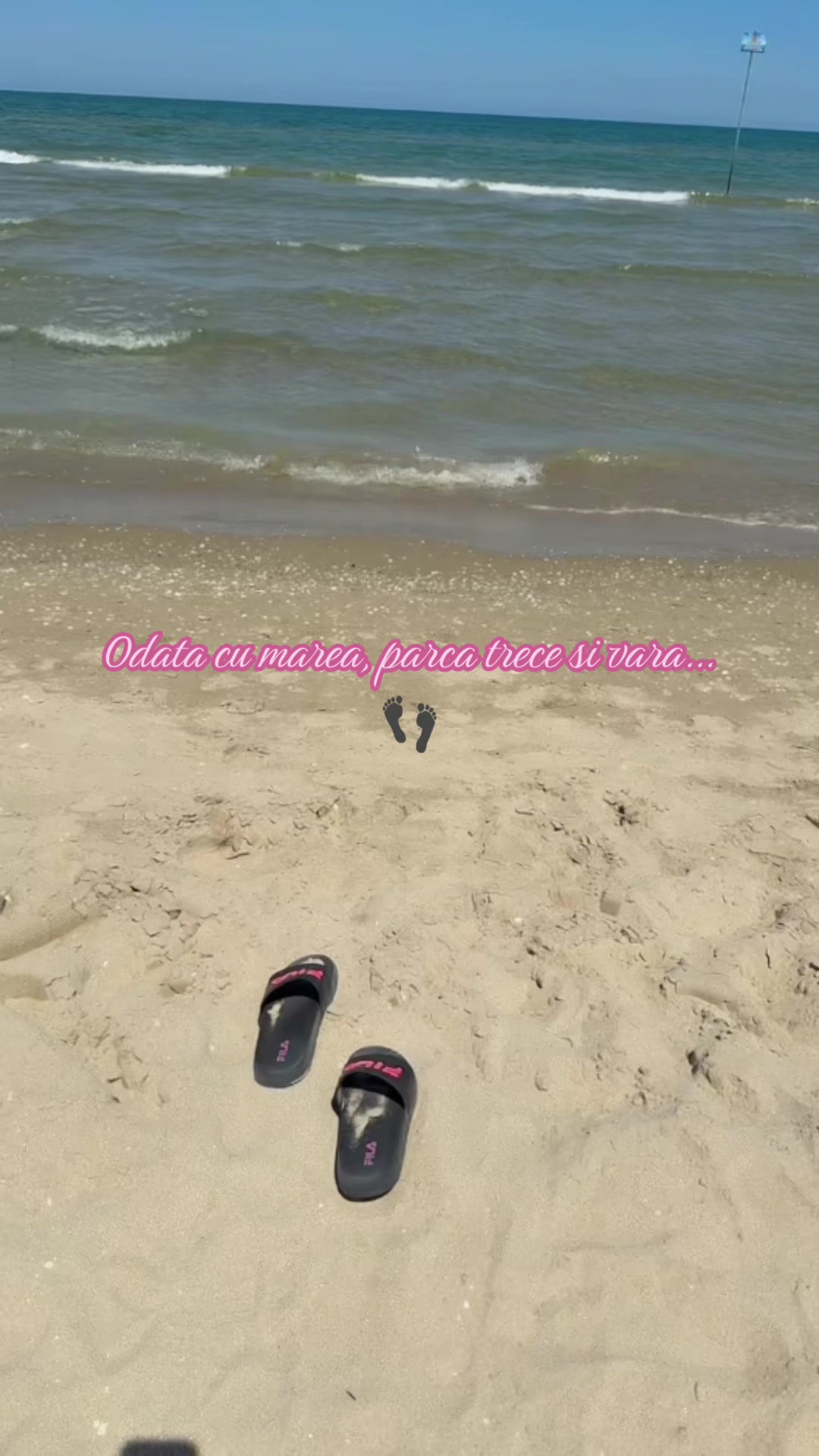 @Andreea Burcea