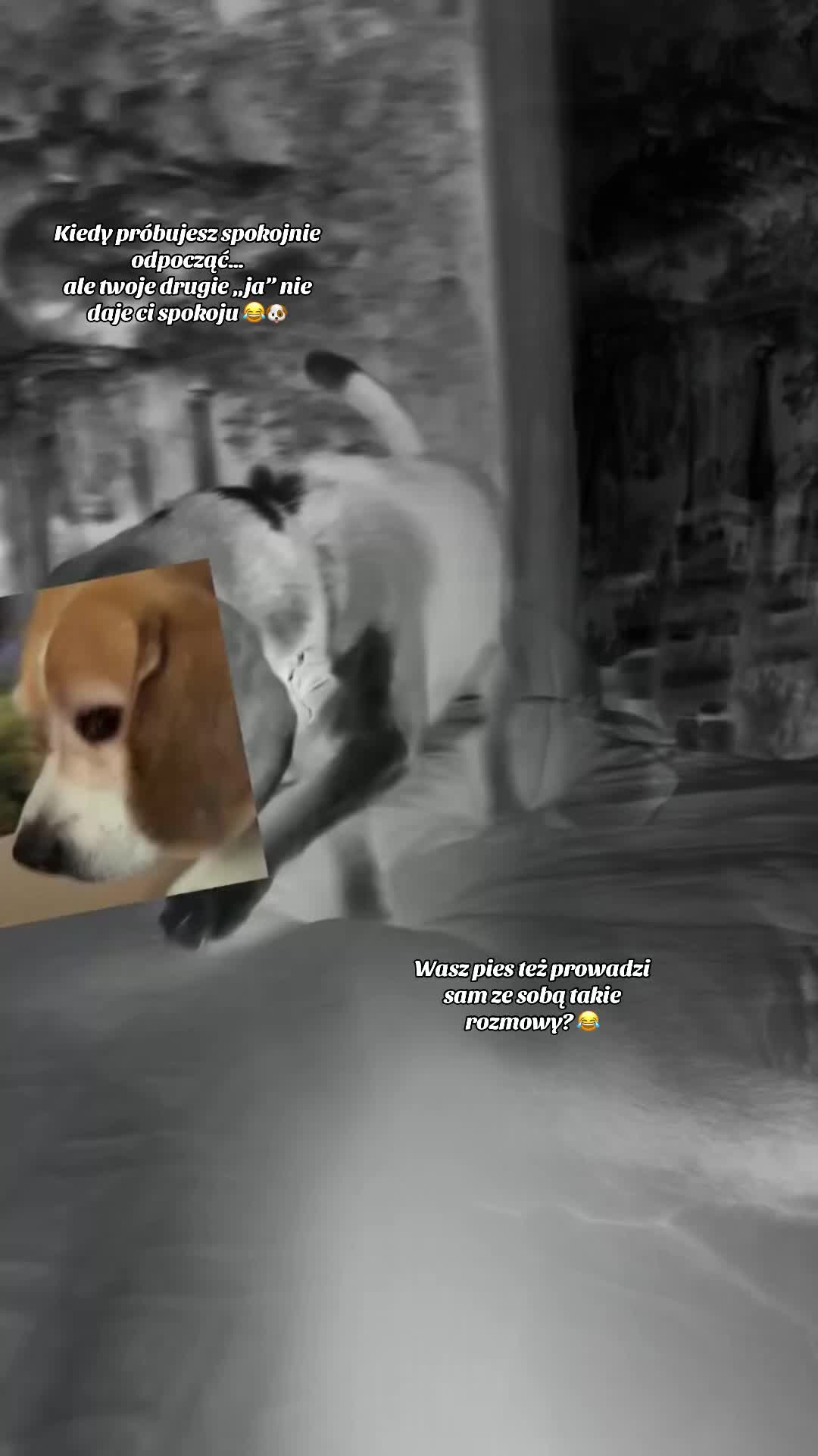 @🐾🌿kavirax12 🌿🐾