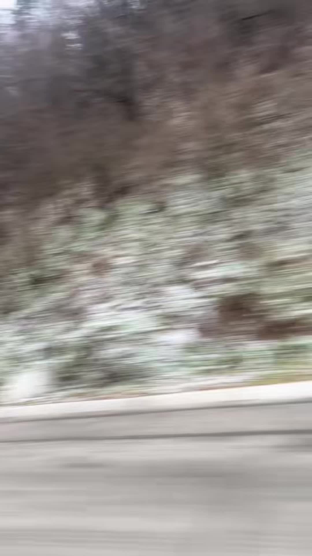 @Marmaladche 💋