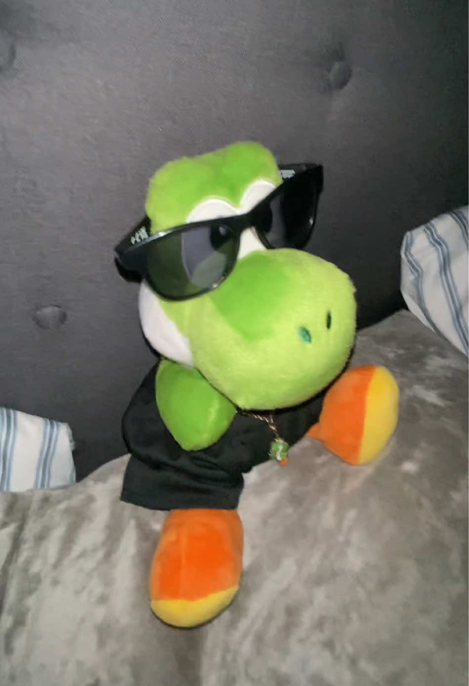 @Disco Chomper