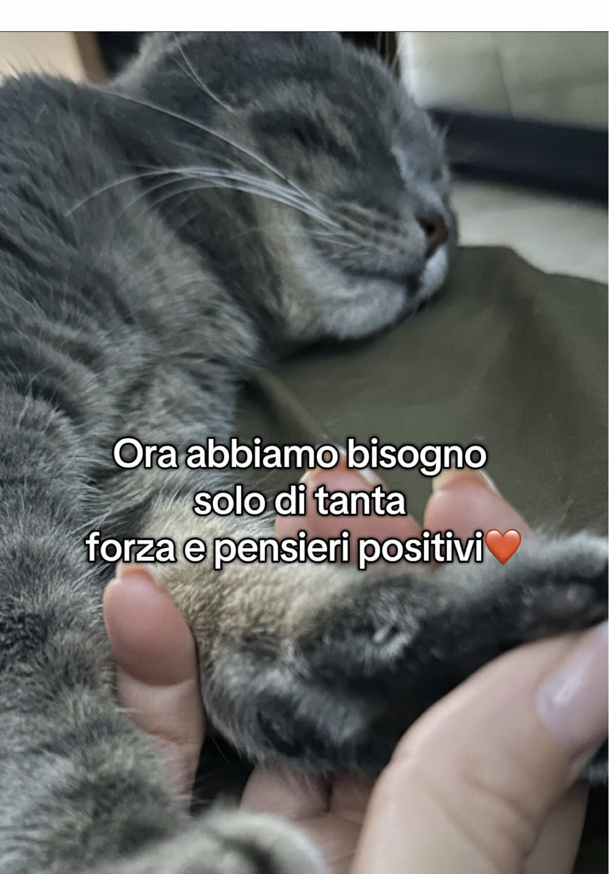 @MarziaBrunoEdgar&Virgi