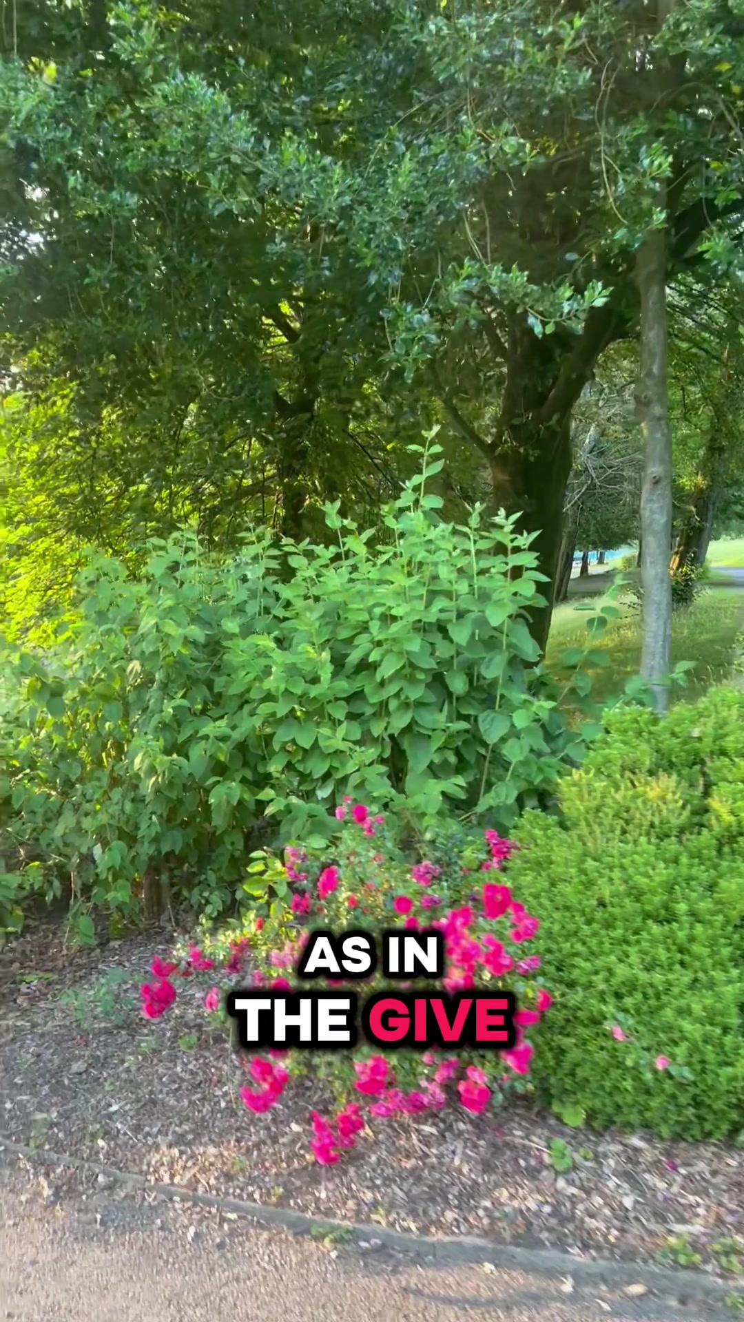 @simmy